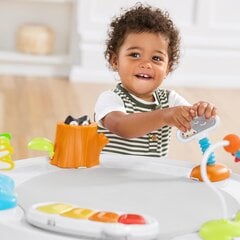 Veiklos centras mažiems vaikams kaina ir informacija | Žaislai kūdikiams | pigu.lt