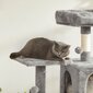 Draskyklė katėms Feandrea, 143 cm, pilkos spalvos kaina ir informacija | Draskyklės | pigu.lt