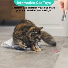 USB pakraunamas LED lazerinis augintinių žaislas Carbonpo цена и информация | Игрушки для кошек | pigu.lt