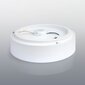 Polux lubinis šviestuvas kaina ir informacija | Lubiniai šviestuvai | pigu.lt