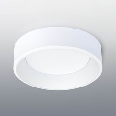 Polux круглый потолочный светильник цена и информация | Потолочные светильники | pigu.lt