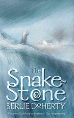 Snake-stone цена и информация | Книги для подростков  | pigu.lt