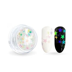 Nagų blizgučiai Allepaznokcie dekoravimui Magic Gem, Nr 10, 3 ml цена и информация | Средства для маникюра и педикюра | pigu.lt