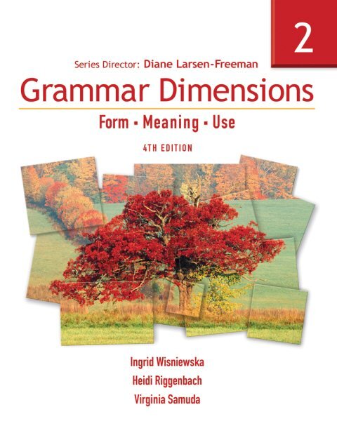 Grammar Dimensions 2: Form, Meaning, Use 4th edition kaina ir informacija | Užsienio kalbos mokomoji medžiaga | pigu.lt