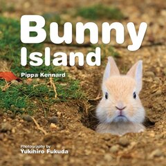 Bunny Island kaina ir informacija | Knygos paaugliams ir jaunimui | pigu.lt