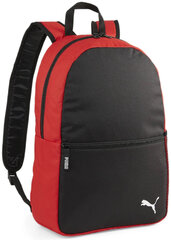 Puma Kuprinė Teamgoal Backpack Core Black Red 090238 03 kaina ir informacija | Futbolo apranga ir kitos prekės | pigu.lt