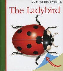 Ladybird цена и информация | Книги для малышей | pigu.lt