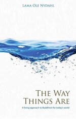 Way Things Are, The A Living Approach to Buddhism цена и информация | Духовная литература | pigu.lt