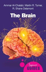 Brain: A Beginner's Guide 2nd Revised edition kaina ir informacija | Saviugdos knygos | pigu.lt