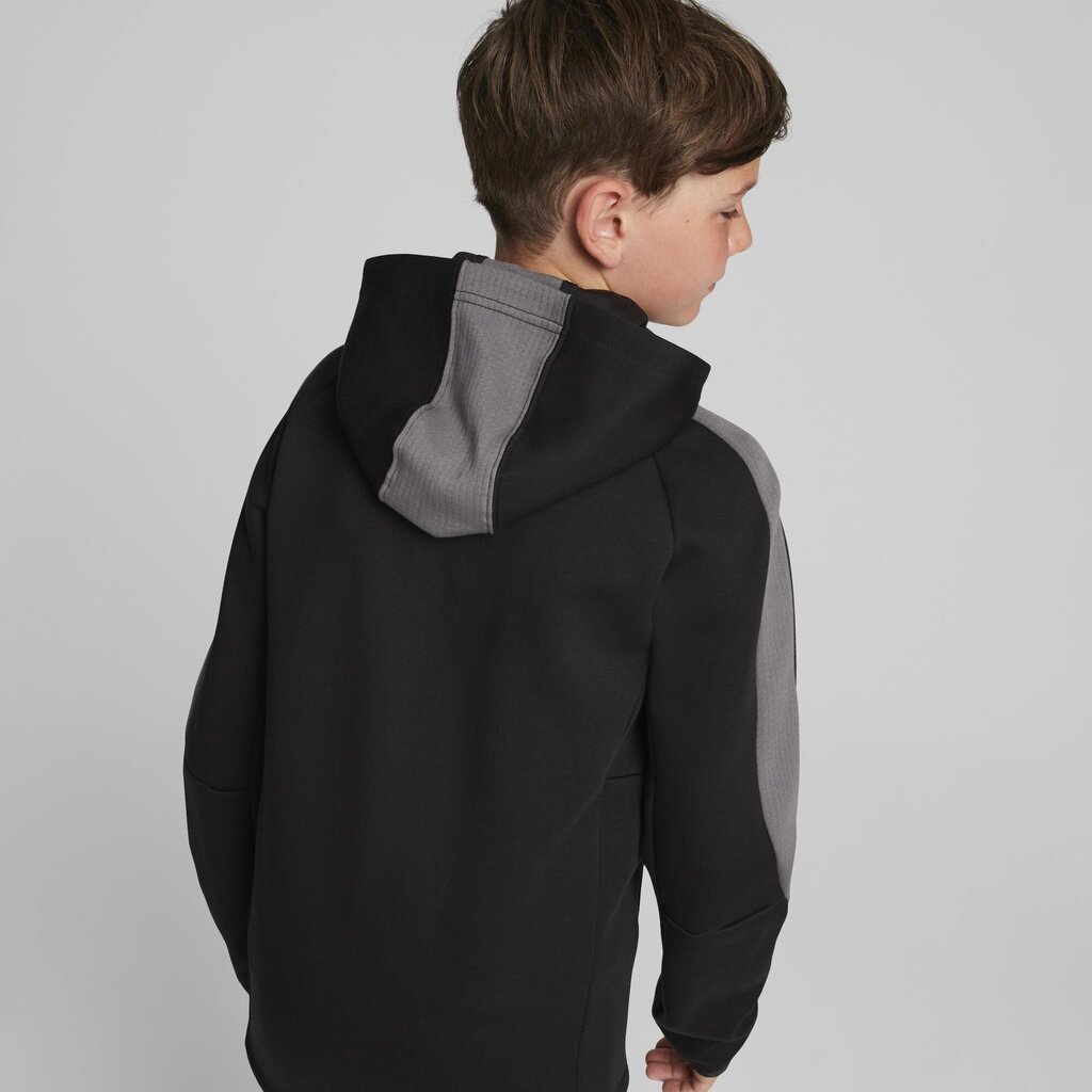 Džemperis berniukams Puma, juodas цена и информация | Megztiniai, bluzonai, švarkai berniukams | pigu.lt