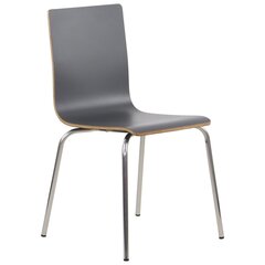Kėdė Stema Werdi B, 48,5x53x82 cm, pilka kaina ir informacija | Virtuvės ir valgomojo kėdės | pigu.lt