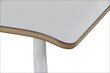 Kėdė Stema Werdi B, 48,5x53x82 cm, balta kaina ir informacija | Virtuvės ir valgomojo kėdės | pigu.lt
