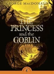 Princess and the Goblin цена и информация | Книги для подростков и молодежи | pigu.lt