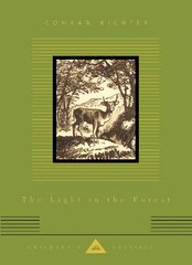 Light In The Forest цена и информация | Книги для подростков и молодежи | pigu.lt
