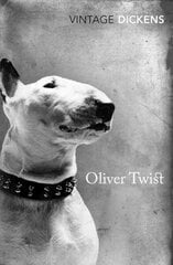 Oliver Twist цена и информация | Книги для подростков и молодежи | pigu.lt