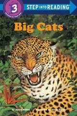 Big Cats цена и информация | Книги для подростков и молодежи | pigu.lt
