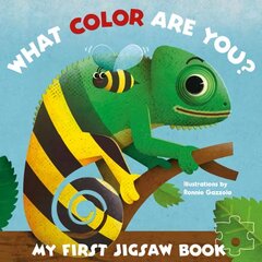 My First Jigsaw Book: What Color Are You? цена и информация | Книги для малышей | pigu.lt