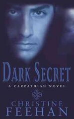 Dark Secret: Number 15 in series kaina ir informacija | Fantastinės, mistinės knygos | pigu.lt