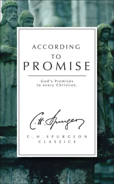 According to Promise: Gods Promises to Every Christian Revised ed. цена и информация | Dvasinės knygos | pigu.lt
