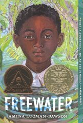 Freewater (Newbery & Coretta Scott King Award Winner) цена и информация | Книги для подростков  | pigu.lt