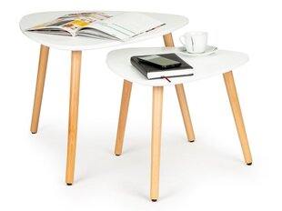 2-ių kavos staliukų komplektas ModernHome CT-006, baltas/rudas kaina ir informacija | Kavos staliukai | pigu.lt