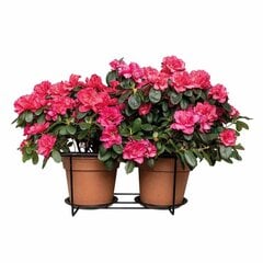 Vazonų laikiklis 40 cm kaina ir informacija | Gėlių stovai, vazonų laikikliai | pigu.lt
