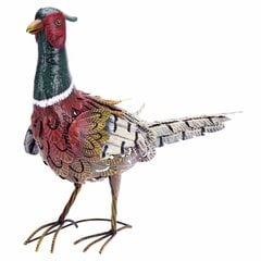 Dekoratyvinis paukštis, įvairių spalvų kaina ir informacija | Sodo dekoracijos | pigu.lt