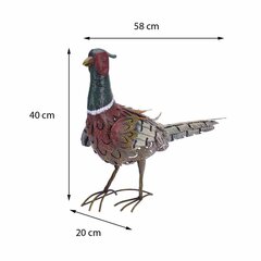 Dekoratyvinis paukštis, įvairių spalvų kaina ir informacija | Sodo dekoracijos | pigu.lt