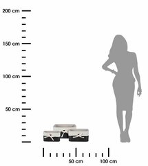 Krepšelių rinkinys, 3 vnt. kaina ir informacija | Daiktadėžės | pigu.lt