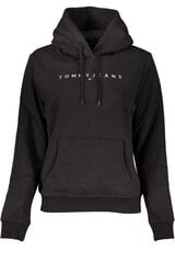 ДЖЕМПЕР TOMMY HILFIGER DM0DM15852 цена и информация | Женские толстовки | pigu.lt