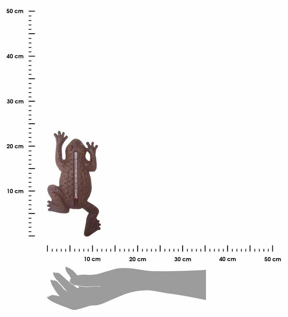 Dekoratyvinis ketaus lauko termometras Varlė, 1,6×12×23,5 cm kaina ir informacija | Sodo dekoracijos | pigu.lt