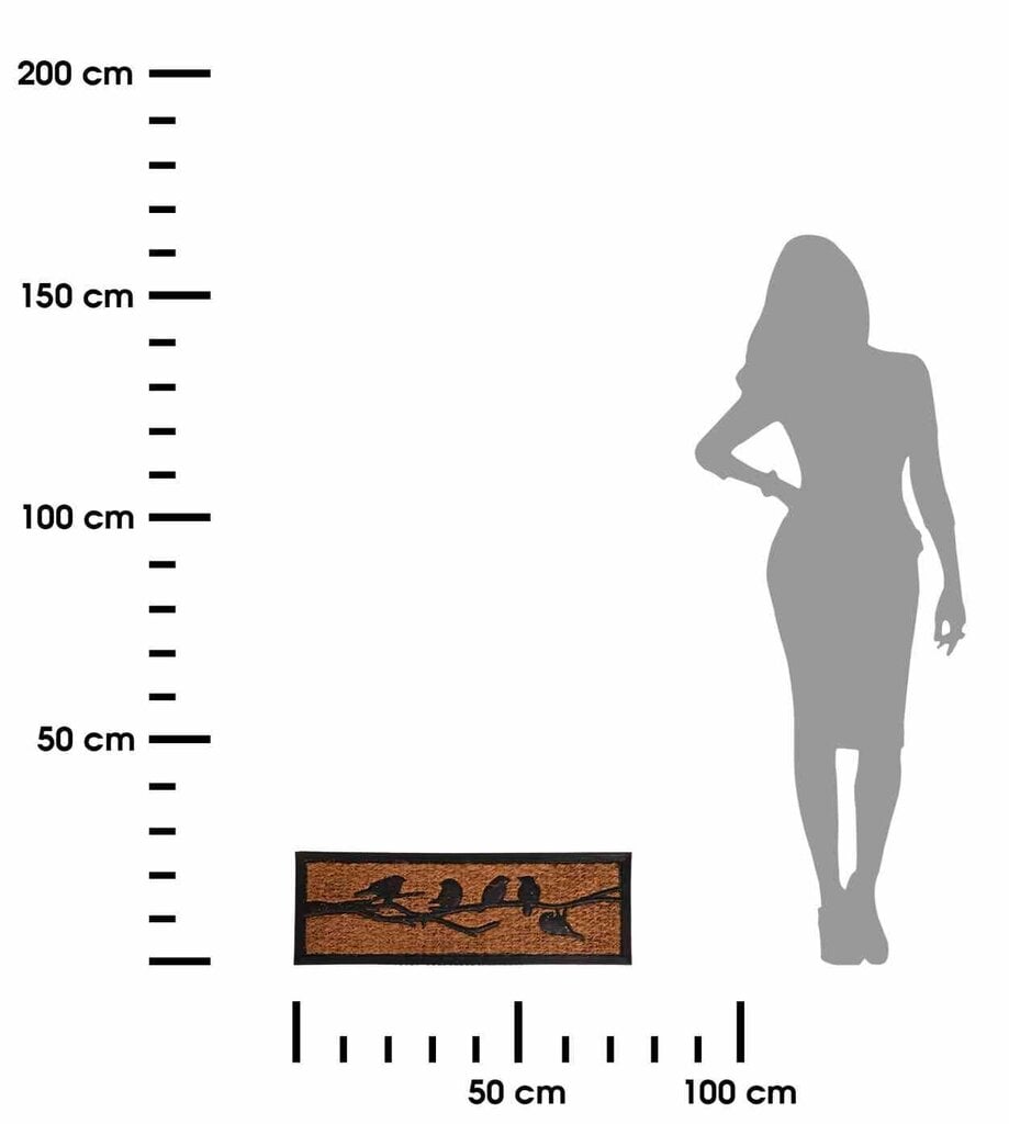 Durų kilimėlis Paukšteliai 25.5x75.5 cm kaina ir informacija | Durų kilimėliai | pigu.lt