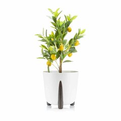 Gėlių vazonas Moss, 26x25 cm, baltas kaina ir informacija | Vazonai | pigu.lt