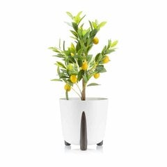 Gėlių vazonas Moss, 34x32 cm, baltas kaina ir informacija | Vazonai | pigu.lt