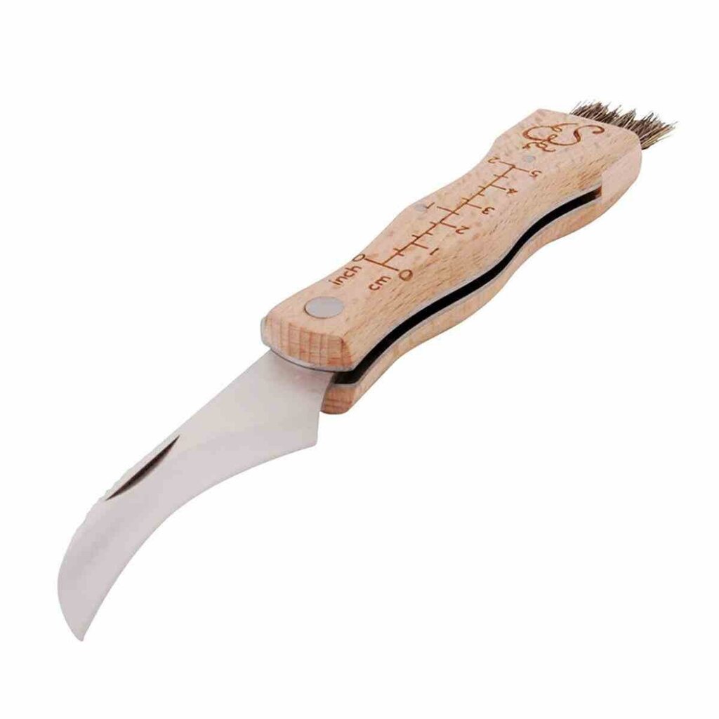 Grybavimo įrankis-peilis su šepetėliu Esschert Design, 1,9x3,4x20,5 cm kaina ir informacija | Turistiniai peiliai, daugiafunkciniai įrankiai | pigu.lt