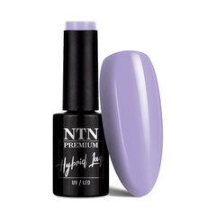 Gelinis nagų lakas Ntn Premium Romantica Collection, Nr.94 violetinis, 5 g цена и информация | Лаки, укрепители для ногтей | pigu.lt