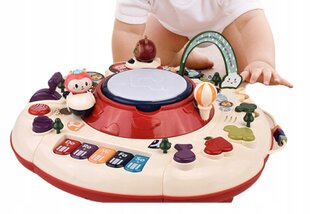Mokomasis stalas su garsais RT1102C kaina ir informacija | Žaislai kūdikiams | pigu.lt