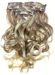 Prisegami plaukai Vanessa Grey Hair Designs, 55 cm kaina ir informacija | Plaukų aksesuarai | pigu.lt