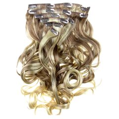 Prisegami plaukai Vanessa Grey Hair Designs, 55 cm kaina ir informacija | Plaukų aksesuarai | pigu.lt