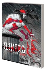 Elektra: Black, White & Blood Treasury Edition цена и информация | Фантастика, фэнтези | pigu.lt