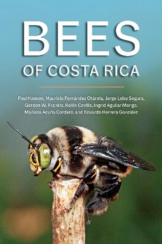 Bees of Costa Rica цена и информация | Knygos apie sveiką gyvenseną ir mitybą | pigu.lt