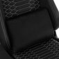 Kėdė White Shark Phoenix, juoda цена и информация | Biuro kėdės | pigu.lt