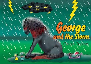 George and the Storm цена и информация | Книги для детей | pigu.lt