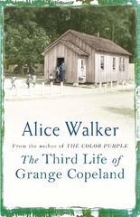 Third Life of Grange Copeland kaina ir informacija | Fantastinės, mistinės knygos | pigu.lt