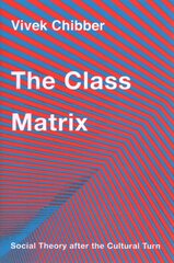 Class Matrix: Social Theory after the Cultural Turn цена и информация | Книги по социальным наукам | pigu.lt