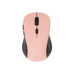 Sbox WM-993 Pink kaina ir informacija | Pelės | pigu.lt