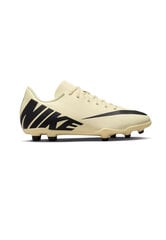 Nike Обувь Jr Vapor15 Club Fg/Mg Yellow Black DJ5958 700 DJ5958 700/4.5 цена и информация | Детская спортивная обувь | pigu.lt