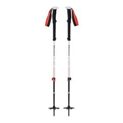 Ėjimo lazdos Black Diamond Expedition 2, 145 cm, juoda/balta kaina ir informacija | Ėjimo lazdos | pigu.lt