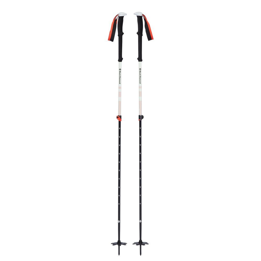 Ėjimo lazdos Black Diamond Expedition 2, 145 cm, juoda/balta kaina ir informacija | Ėjimo lazdos | pigu.lt