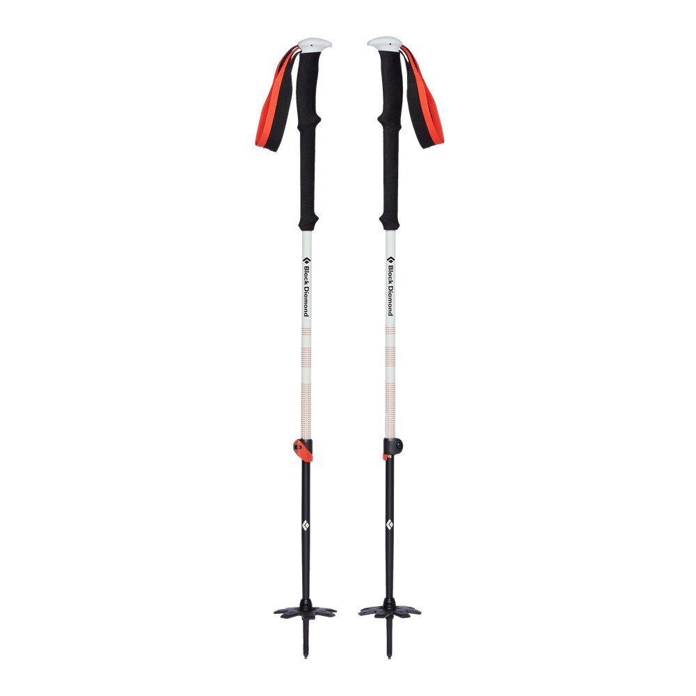 Ėjimo lazdos Black Diamond Expedition 2, 155 cm, juoda/balta kaina ir informacija | Ėjimo lazdos | pigu.lt